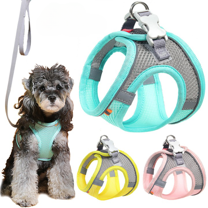 Arnês Refletor Ajustável