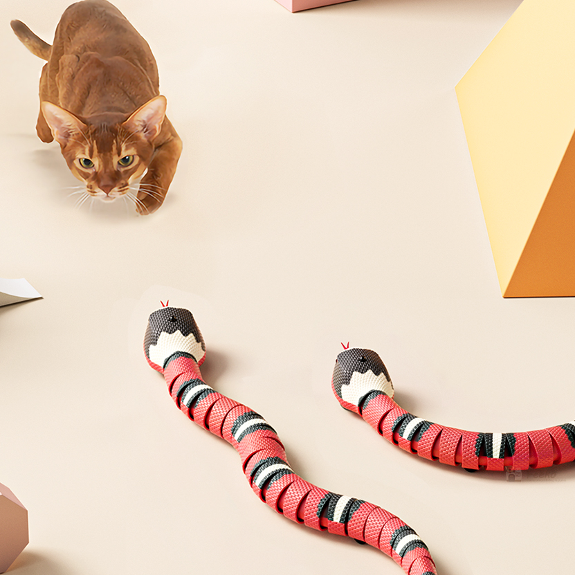 Brinquedo Cobra Fugitiva