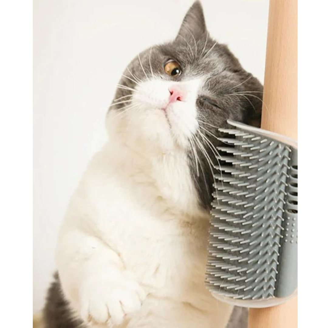 Pente Esfrega Para Gatos