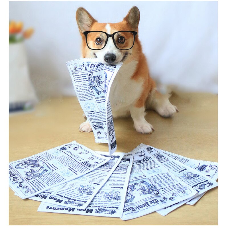 Brinquedo Interativo Jornal