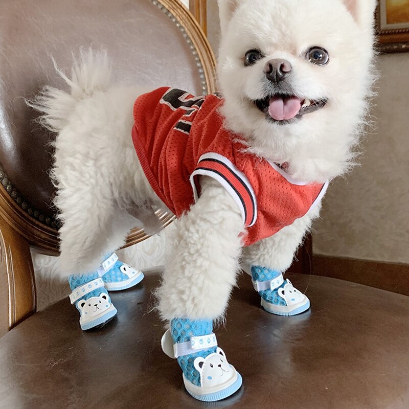 Sapato BabyPet