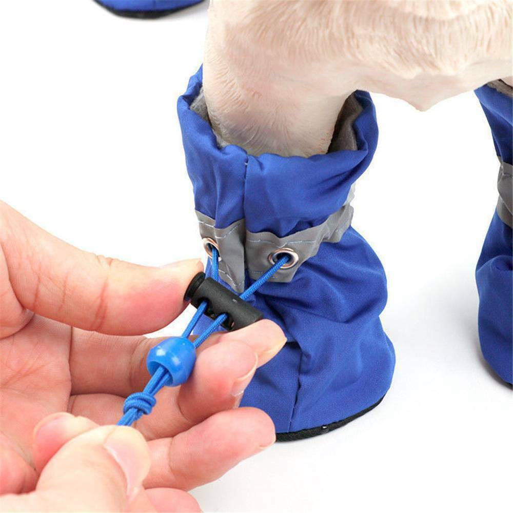 Botas DoggyShoe - Proteção Contra o Frio e Chuva
