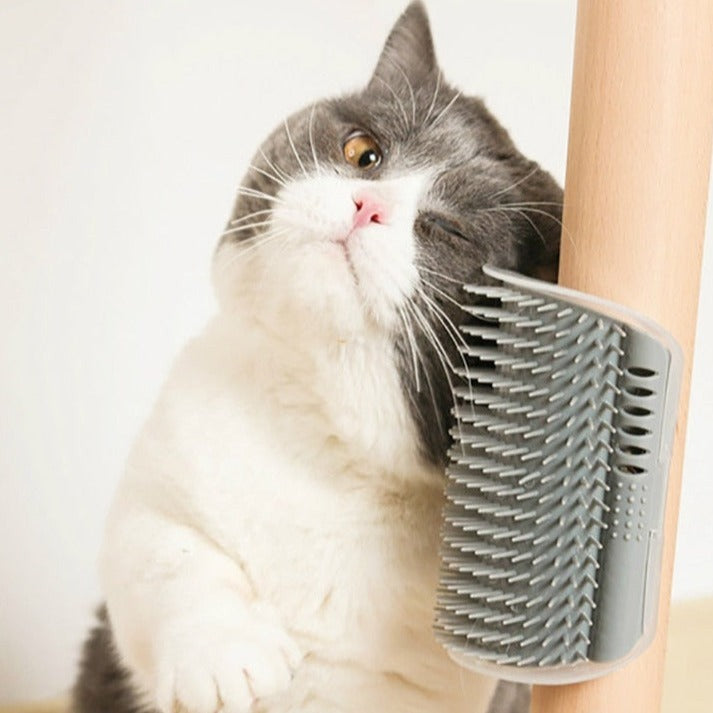 Pente Esfrega Para Gatos