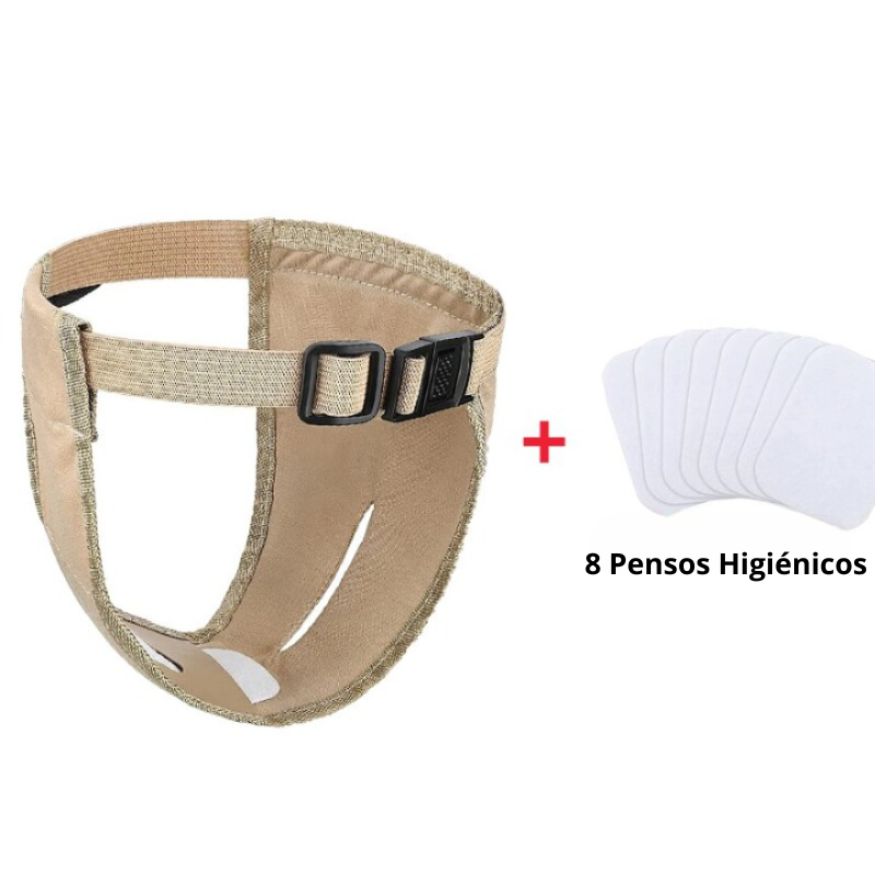 Fralda Especial para o Cio