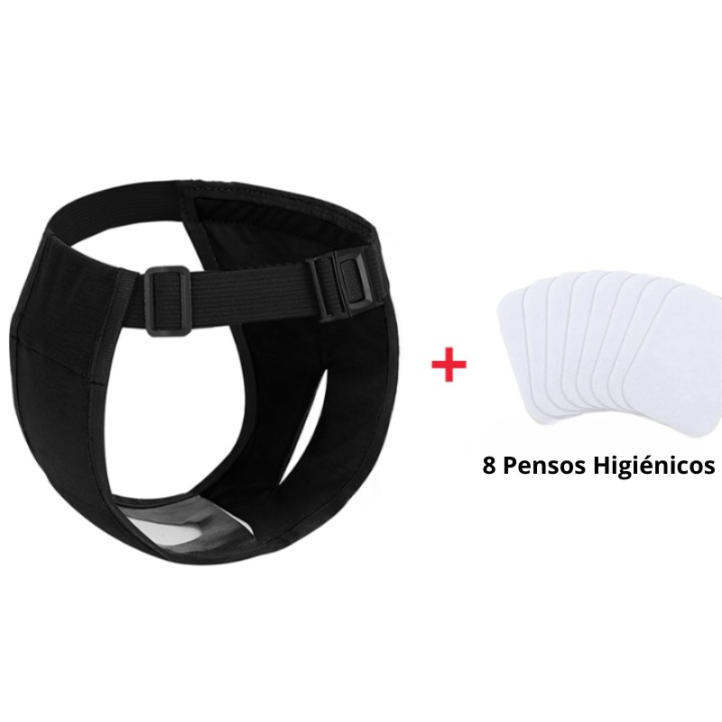 Fralda Especial para o Cio