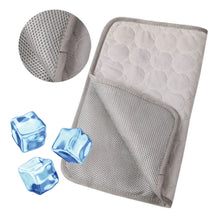 Tapete Refrescante Para Animais de Estimação