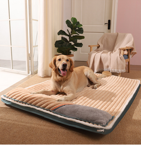 Cama GoodHealth