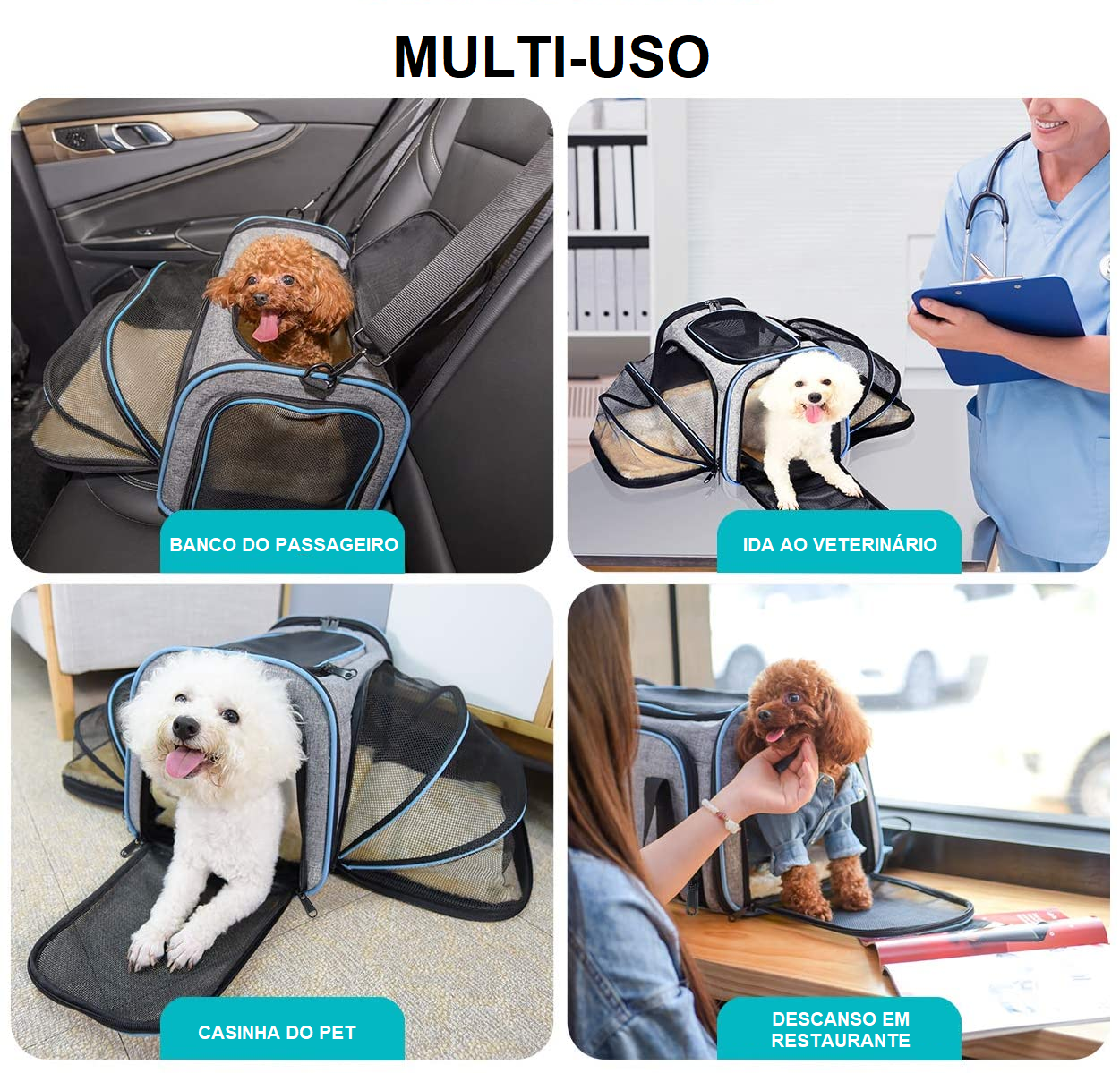 Mala de Transporte Expansível Animolandia