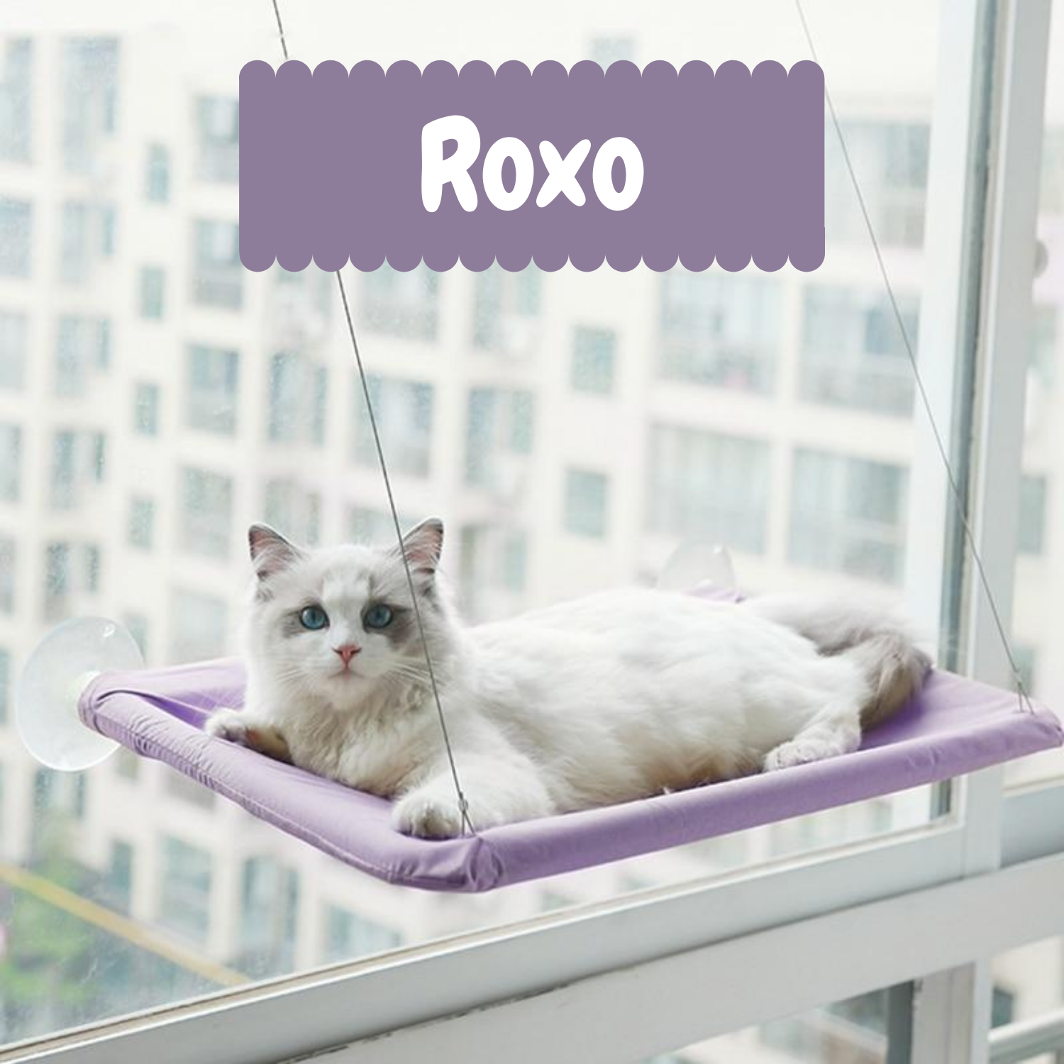 Cama Suspensa Para Gatos