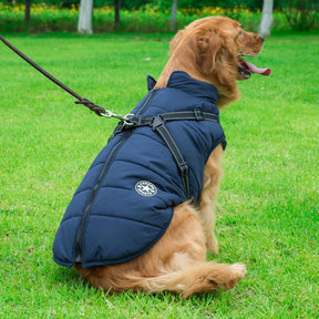 Colete de Inverno Jacky
