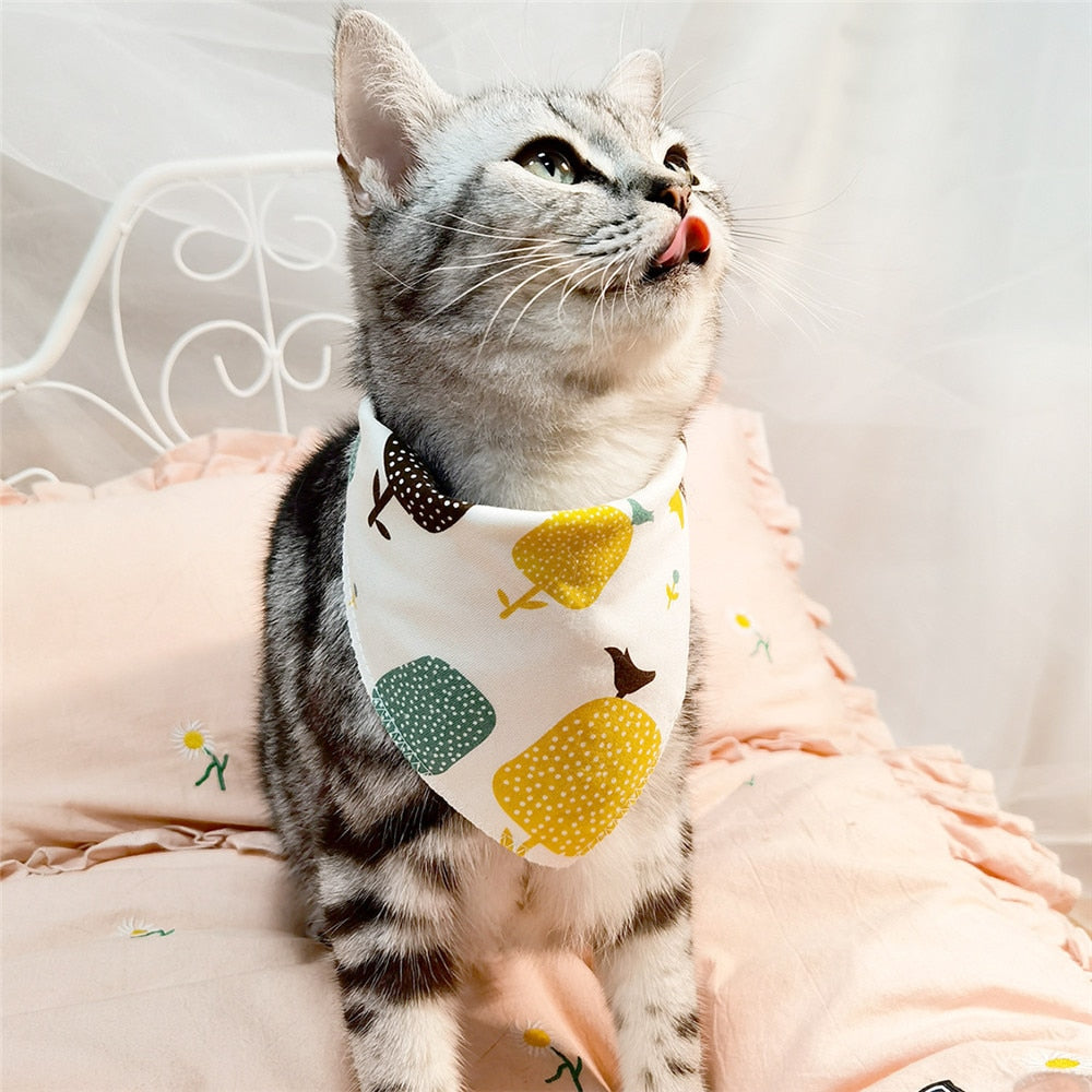 CatBell - Lenço pata gatos