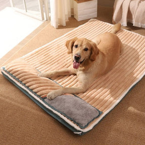 Cama GoodHealth