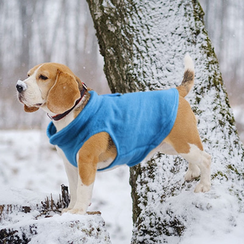 Camisola HeatWinter