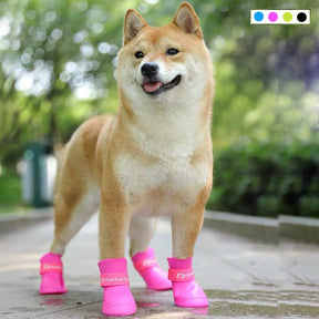 Botas Impermeáveis Para Cães