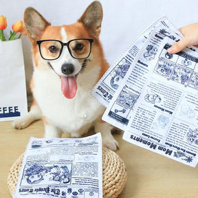 Brinquedo Interativo Jornal