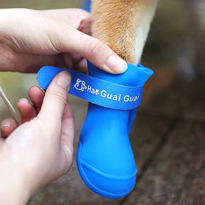 Botas Impermeáveis Para Cães