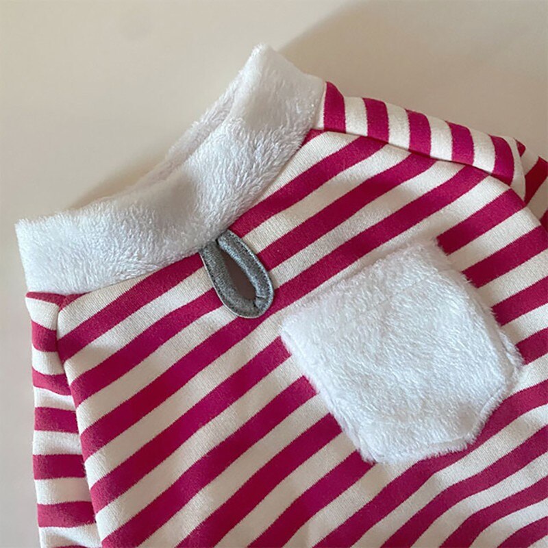 Blusa de Natal com cachecol para animais