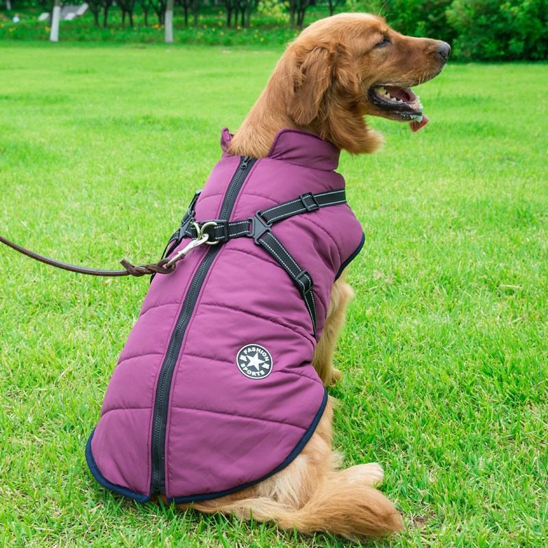 Colete de Inverno Jacky