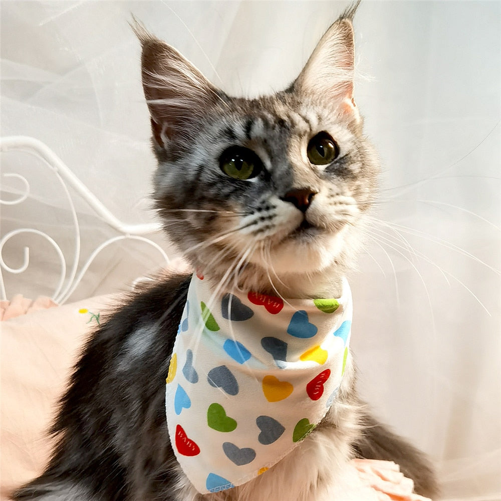 CatBell - Lenço pata gatos