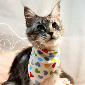 CatBell - Lenço pata gatos