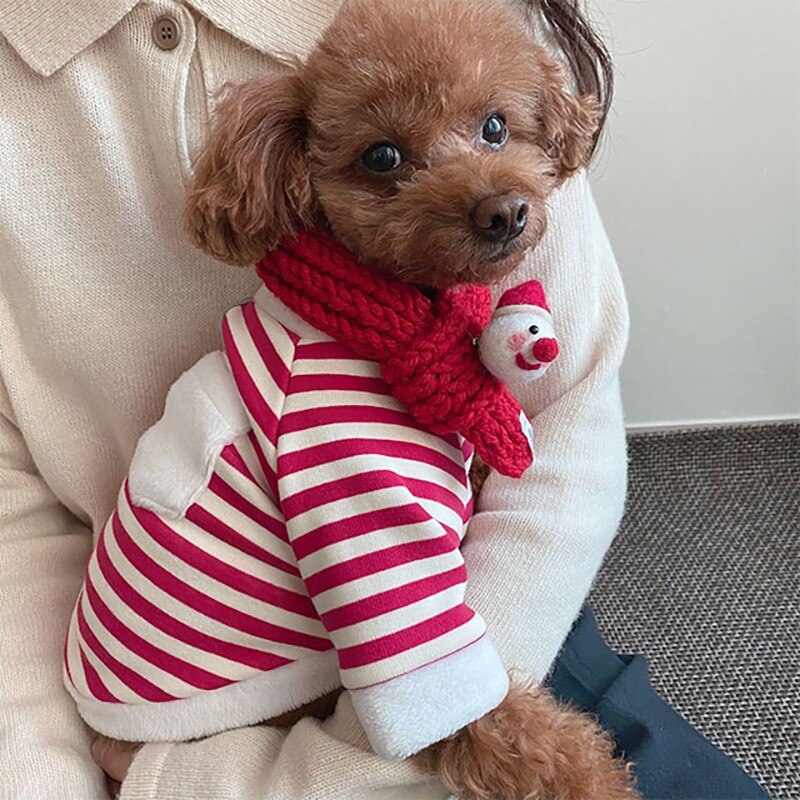 Blusa de Natal com cachecol para animais