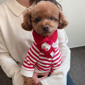 Blusa de Natal com cachecol para animais