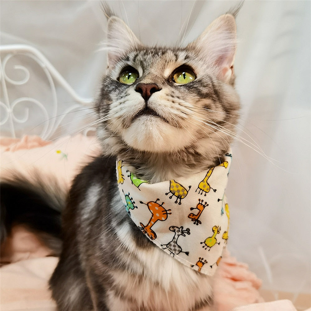 CatBell - Lenço pata gatos