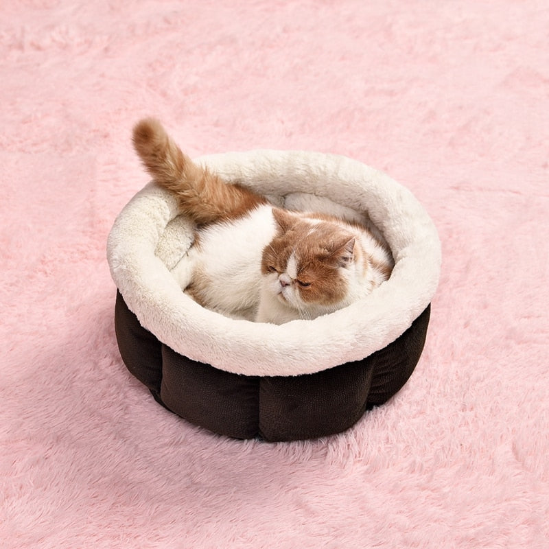 Cama PetFluffy