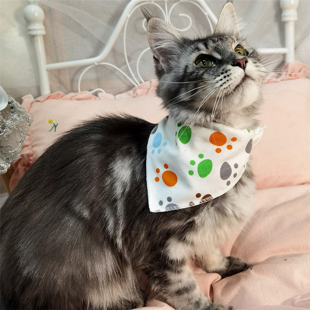 CatBell - Lenço pata gatos