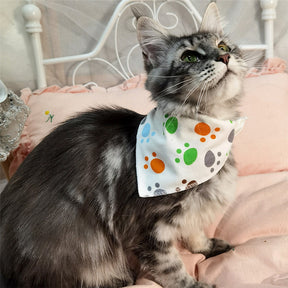 CatBell - Lenço pata gatos