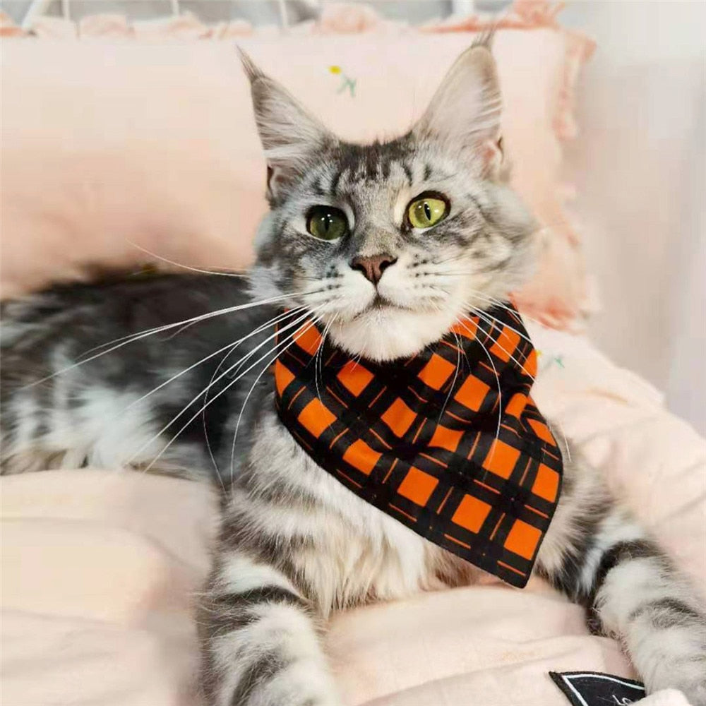 CatBell - Lenço pata gatos