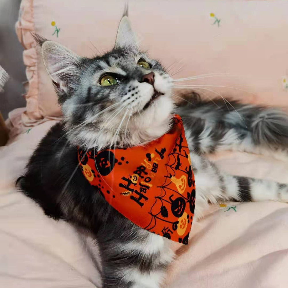 CatBell - Lenço pata gatos