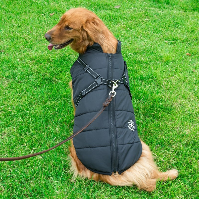 Colete de Inverno Jacky