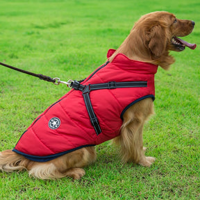 Colete de Inverno Jacky