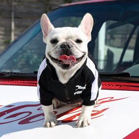 Casaco de Inverno GoodBoy