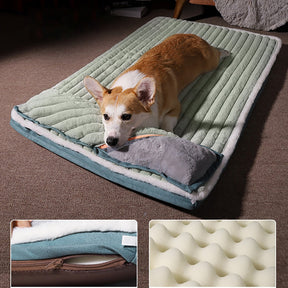 Cama GoodHealth