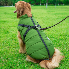 Colete de Inverno Jacky