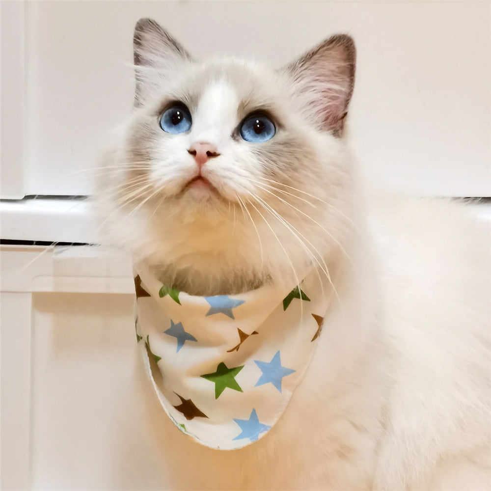 CatBell - Lenço pata gatos