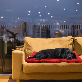 Cama Portátil TravelPet