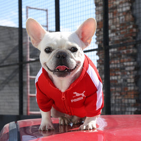 Casaco de Inverno GoodBoy