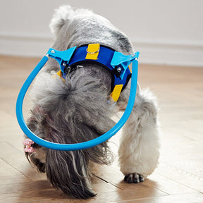 Coleira Anti Choque Para Animais com Problemas de Visão