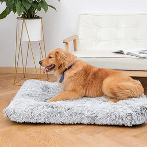 Cama Colchão Animolandia