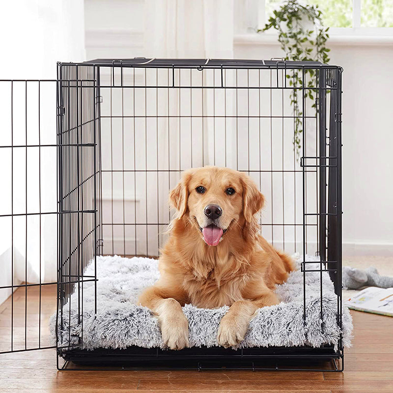 Cama Colchão Animolandia