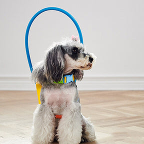 Coleira Anti Choque Para Animais com Problemas de Visão