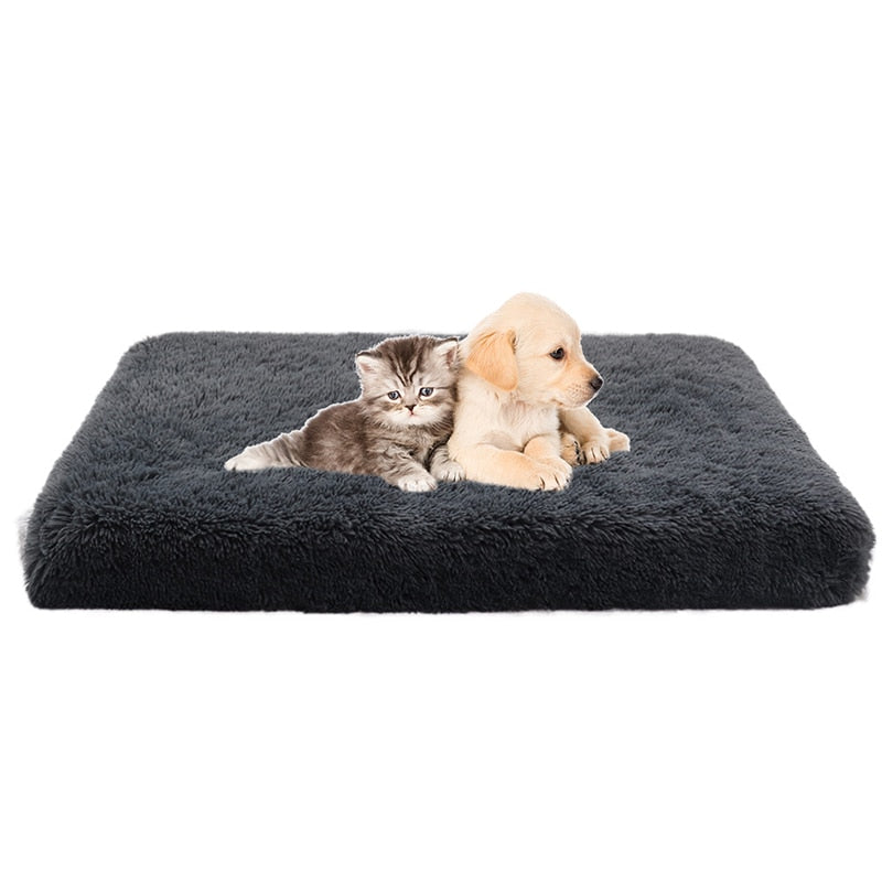 Cama Colchão Animolandia
