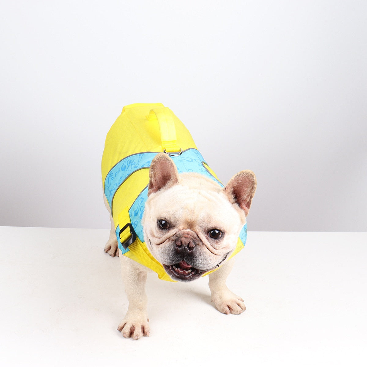 Colete Salva-Vidas SafeDog