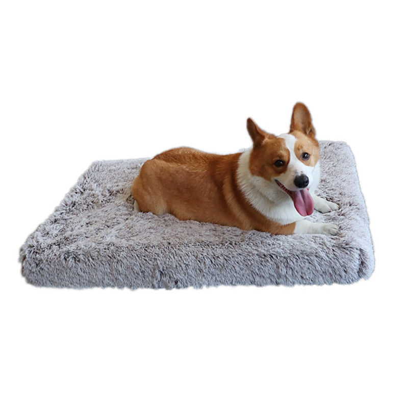 Cama Colchão Animolandia