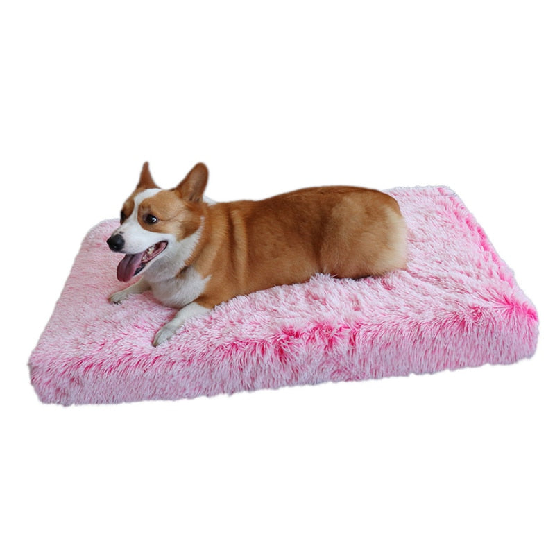 Cama Colchão Animolandia