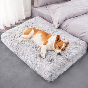 Cama Colchão Animolandia